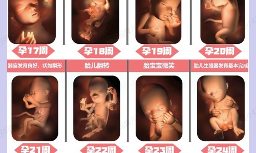 【新鲜的天门冬怎么炮制】天门冬500克一斤新鲜 - 鲜天门冬的功效与作用网