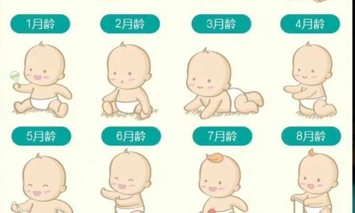 新鲜天门冬可以直接煲汤吗-【新鲜的天门冬怎么炮制】天门冬500克一斤新鲜 - 鲜天门冬的功效与作用网
